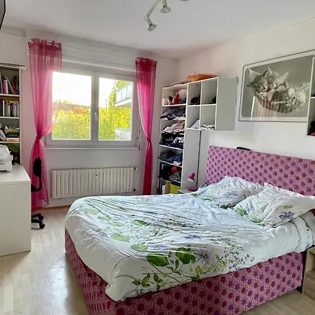 La Maisonnette Alsacienne D Helene Et Guillaume ホームステイ コルマール